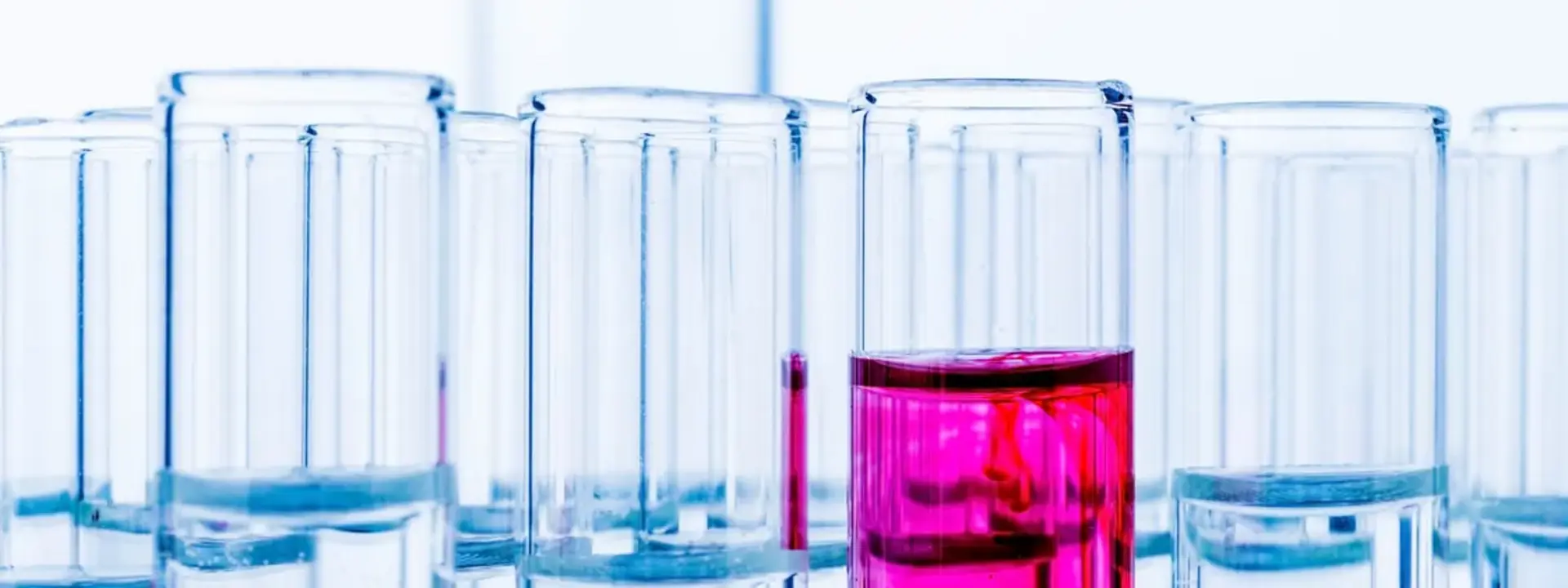 Reagenzgläser mit Flüssigkeit in der Chemieindustrie